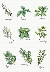 Luca-S NXXeb`hJLbg B2345 "Spices and Herbs" (XpCXƃn[u) yCO/[40`80xz [JX