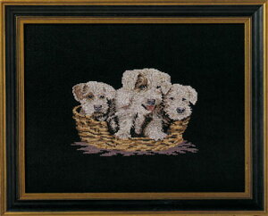 OOE NXXeb`hJLbg 02038 / 02039  y/[40`80xz f}[N̎hイ[J[uI[V[K[(O. Oehlenschlgers Eftf. / Oehlenschlager)vイLbg Ck 