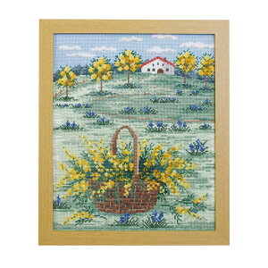 OlympusNXXeb`hJLbg 7576 "~UF̃tXt̋u"