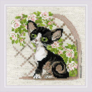 RIOLISNXXeb`hJLbg No.2121 "Cornish Rex Kitten" (R[jbVbNX lR) yCO/[30`60xz