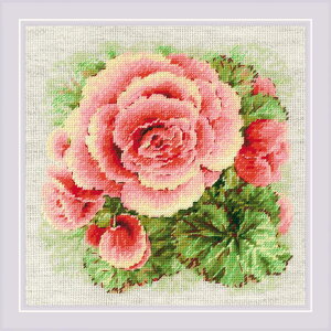 RIOLISNXXeb`hJLbg No.2122 "Begonia" (xSjA) yCO/[30`60xz