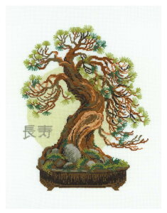 RIOLISNXXeb`hJLbg No.1037 uBonsai Pine Wish of Longevityv (~́@@) yCO/[30`60xz