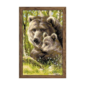 RIOLISNXXeb`hJLbg No.1438 uBear with Cubv (N}̕q  F) yCO/[30`60xz