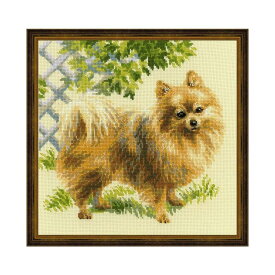 RIOLISクロスステッチ刺繍キット No.1585 「Pomeranian」 (ポメラニアン 犬) 【海外取り寄せ/納期30〜60日程度】
