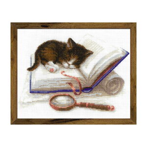 RIOLISNXXeb`hJLbg No.1725 uKitten on the Bookv ({̏̔L) yCO/[30`60xz