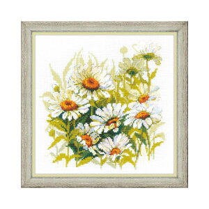 RIOLISNXXeb`hJLbg No.1765 uChamomilesv (J~[ J}C) yCO/[30`60xz