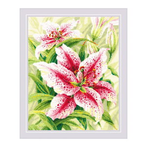 RIOLISNXXeb`hJLbg No.2000 "Lilies" ( S) yCO/[30`60xz