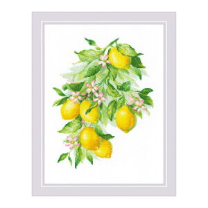 RIOLIS�N���X�X�e�b�`�h�J�L�b�g No.2054 Bright Lemons (������) �y�C�O����/�[��30�`60�����x�z