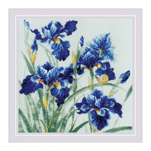RIOLISNXXeb`hJLbg No.2102 "Blue Irises" (Ҋ) yCO/[30`60xz