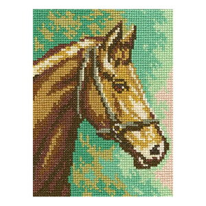 RTO NXXeb`hJLbg C172 uChestnut horsev (Iєn) yCO/ʏ[40`80xz