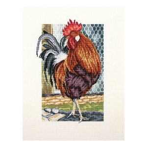 RTO NXXeb`hJLbg M350 uRooster on the walkv (Y{) yCO/ʏ[40`80xz