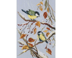 RTO NXXeb`hJLbg M579 uFirst Snowv () yCO/ʏ[40`80xz