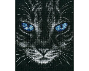 RTO NXXeb`hJLbg M675 uSky reflectionv (lR) yCO/ʏ[40`80xz