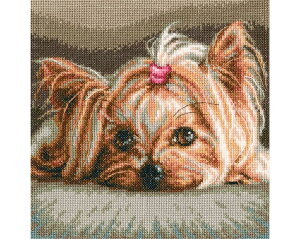 RTO NXXeb`hJLbg M709 uPetv (ybg) yCO/ʏ[40`80xz