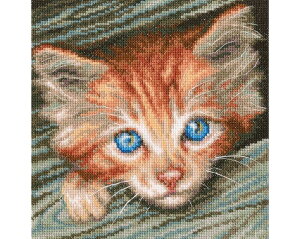 RTO NXXeb`hJLbg M710 uFluffy observerv (lR) yCO/ʏ[40`80xz