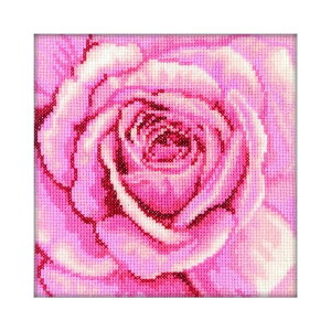 RTO NXXeb`hJLbg C070 uPink Rosev (sÑo) yCO/ʏ[40`80xz