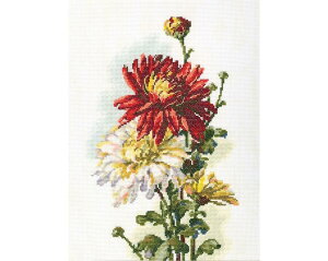 RTO NXXeb`hJLbg M516 uChrysanthemumv (e) yCO/ʏ[40`80xz