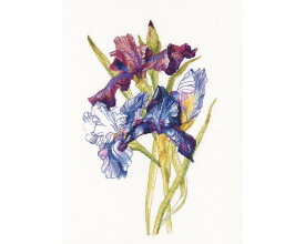RTO クロスステッチ刺繍キット M580 「Irises rainbow」 (虹のアイリス) 【海外取り寄せ/通常納期40〜80日程度】