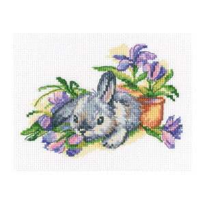 RTO NXXeb`hJLbg C288 uEared and curiousv (ƍDS ETM) yCO/ʏ[40`80xz