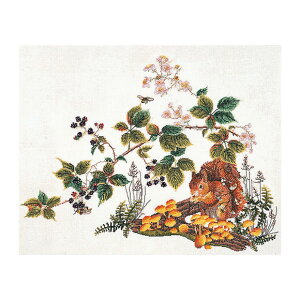 Thea Gouverneur NXXeb`hJLbg No.1071L uSquirrelv z:l (X Il) I_ eAEO[Fk[ y/[40`80xz