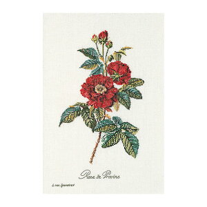 Thea Gouverneur �N���X�X�e�b�`�h�J�L�b�gNo.2029 �uRose van Spaendonck�v(�o�� ���[�Y ��) �I�����_ �e�A�E�O�[���F���k�[�� �y����/�[��40�`80�����x�z