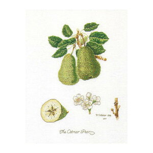 Thea Gouverneur NXXeb`hJLbg No.2056 uColnar Pearsv (miV m ʕ) I_ eAEO[Fk[ y/[40`80xz