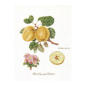 Thea Gouverneur NXXeb`hJLbg No.2057 uKeswick Applev(PYEBbÑS ʕ) I_ eAEO[Fk[ y/[40`80xz