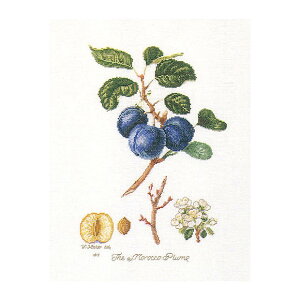 Thea Gouverneur NXXeb`hJLbg No.2059 uMorrocco Plumv(bREv ʕ) I_ eAEO[Fk[ y/[40`80xz