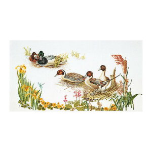 Thea Gouverneur NXXeb`hJLbg No.2064A uDucksv z:ȃAC[_ (J ) I_ eAEO[Fk[ y/[40`80xz