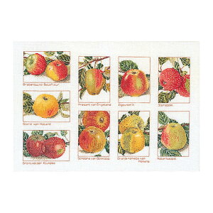 Thea Gouverneur NXXeb`hJLbg No.2082L uApplestv z:l ( ʕ) I_ eAEO[Fk[ y/[40`80xz