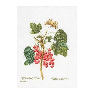 Thea Gouverneur NXXeb`hJLbgNo.2084 uRed Currantv(tTXO ʕ) I_ eAEO[Fk[ y/[40`80xz