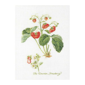 Thea Gouverneur NXXeb`hJLbgNo.2085 uStrawberryv(C`S ʕ) I_ eAEO[Fk[ y/[40`80xz