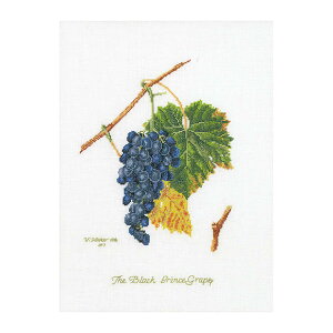 Thea Gouverneur NXXeb`hJLbgNo.2086 uGrapesv(uhE ʕ) I_ eAEO[Fk[ y/[40`80xz