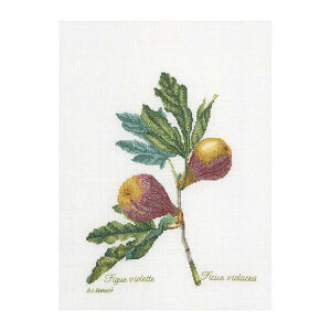 Thea Gouverneur NXXeb`hJLbgNo.2087 uFigsv(C`WN ʕ) I_ eAEO[Fk[ y/[40`80xz