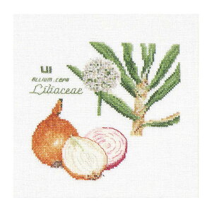 Thea Gouverneur NXXeb`hJLbg No.3042 uOnionv(ʂ˂ ^}lM ) I_ eAEO[Fk[ y/[40`80xz