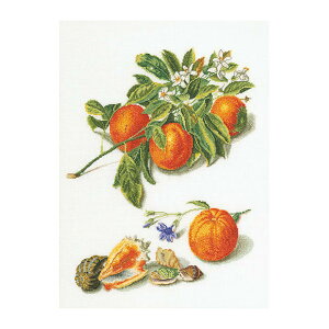 Thea Gouverneur NXXeb`hJLbg No.3061L uOranges & Mandarinsv z:l (IWƃ}_ ʕ) I_ eAEO[Fk[ y/[40`80xz