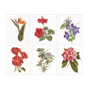 Thea Gouverneur �N���X�X�e�b�`�h�J�L�b�g No.3081L �uSix Floral Studies�v �z:���l�� 6�̉�(1) �I�����_ �e�A�E�O�[���F���k�[�� �y����/�[��40�`80�����x�z