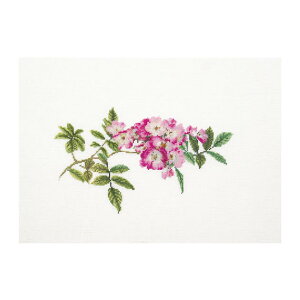 Thea Gouverneur NXXeb`hJLbgNo.415 uMozartv([cAg ) I_ eAEO[Fk[ y/[40`80xz