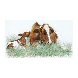 Thea Gouverneur NXXeb`hJLbgNo.449A uRed Cowv(z:ȃAC[_/) I_ eAEO[Fk[ y/[40`80xz