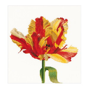 Thea Gouverneur NXXeb`hJLbgNo.519 uRed / Yellow Parrot tulipv(ԁEF̃pbg炫 `[bv ) I_ eAEO[Fk[ y/[40`80xz