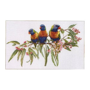 Thea Gouverneur NXXeb`hJLbg No.553L uLorrikeetsvzFl (SVLZCKCCR) I_ eAEO[Fk[ yCO/[40`80xz