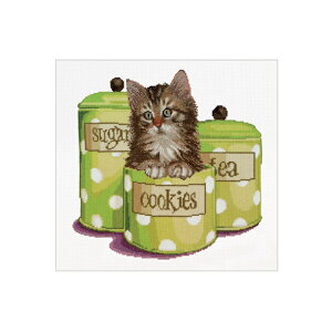 Thea Gouverneur NXXeb`hJLbg No.735 uCookie Timev(L) I_ eAEO[Fk[ y/[40`80xz