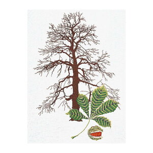 Thea Gouverneur NXXeb`hJLbg No.830A uChestnutvzFȃAC[_ (I̎ A ) I_ eAEO[Fk[ y/[40`80xz