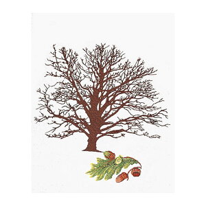 Thea Gouverneur �N���X�X�e�b�`�h�J�L�b�gNo.831A �uOak Tree�v�z�F�ȃA�C�[�_ (�~�̖� �I�[�N�c���[ �A�� ��) �I�����_ �e�A�E�O�[���F���k�[�� �y����/�[��40�`80�����x�z