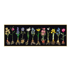 Thea Gouverneur クロスステッチ刺繍キット No.1087.05 「Bulbs」(布:綿アイーダ・黒/球根 花) オランダ テア・グーヴェルヌール 【取り寄せ/納期40〜80日程度】