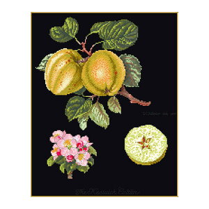 Thea Gouverneur NXXeb`hJLbg No.2057 uKeswick Applev(PYEBbÑS ʕ) I_ eAEO[Fk[ y/[40`80xz