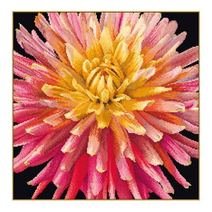 Thea Gouverneur �N���X�X�e�b�`�h�J�L�b�gNo.441.05 �uDahlia�v(�_���A ��/�z�F�F��) �I�����_ �e�A�E�O�[���F���k�[�� �y����/�[��40�`80�����x�z