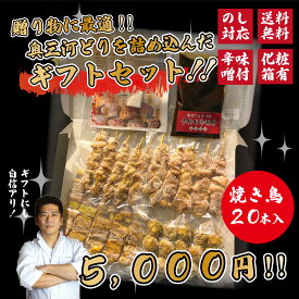 焼き鳥ギフト 20本 焼き鳥セット 焼き鳥 冷凍 業務用 国産 調理済み冷凍 奥三河どり 5000円 鶏肉 鳥肉 冷凍焼き鳥 愛知県産 とりまる 詰め合わせ 盛り合わせ 焼肉焼鳥 唐揚げ 自宅で簡単 バーベキュー BBQ 炭火焼 お取り寄せグルメ 手刺し 特製ダレセット みそ 送料無料