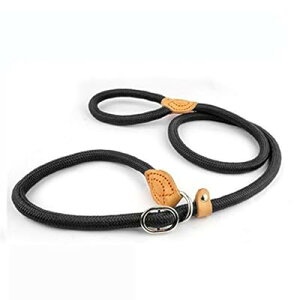 2019�j���[ �h�b�O �i�C���� ���[�v �g���[�j���O ���[�V�� �X���b�v ���[�h �X�g���b�v���߉\�ȃg���N�V���� �J���[