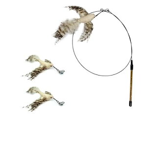 L炵 ˂ L̂ L ފƁi1{j& Hi2H jԂԂ ybgObY ˂pi